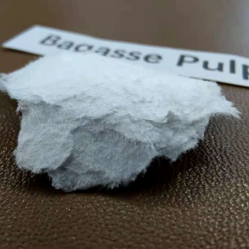 bagasse pulp fiber