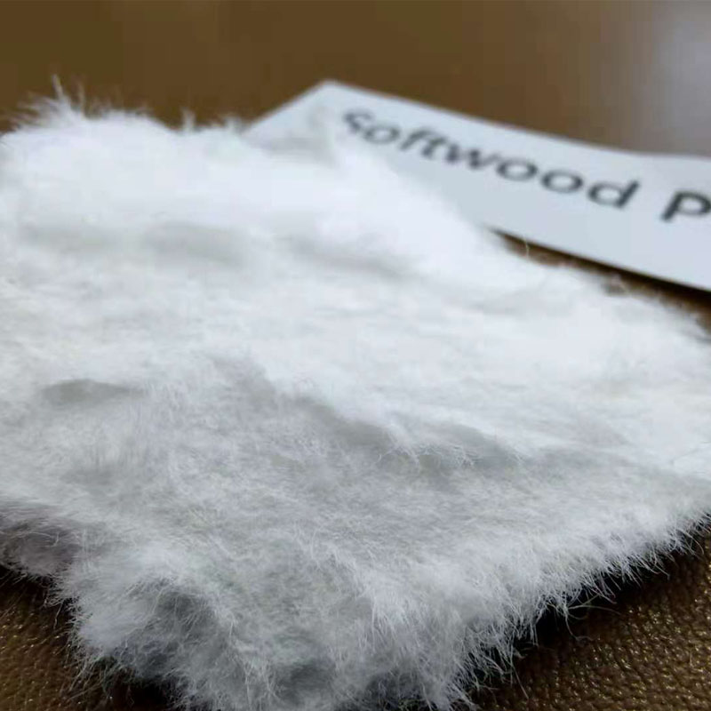 softwood pulp fiber