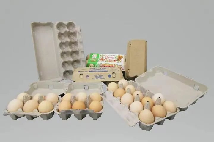 egg trays